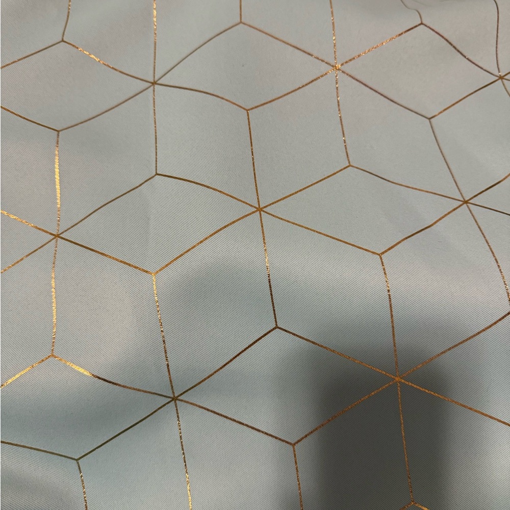 Baby blue and gold curtains